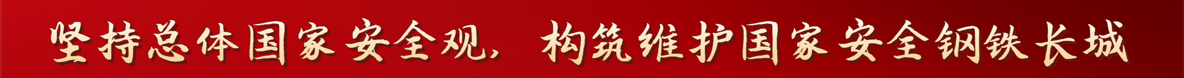 堅(jiān)持總體國(guó)家安全觀(guān)，構(gòu)筑維護(hù)國(guó)家安全鋼鐵長(zhǎng)城