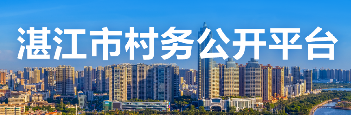 湛江市村務(wù)公開(kāi)平臺(tái)